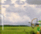 Ballon J�ger -  Strategie Spiel