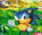 Der ultimative Sonic Quiz - Puzzle Spiel